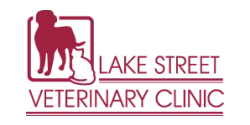 Lake Street Veterinary Clinic