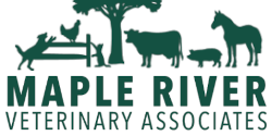 Maple River Veterinary Associates 